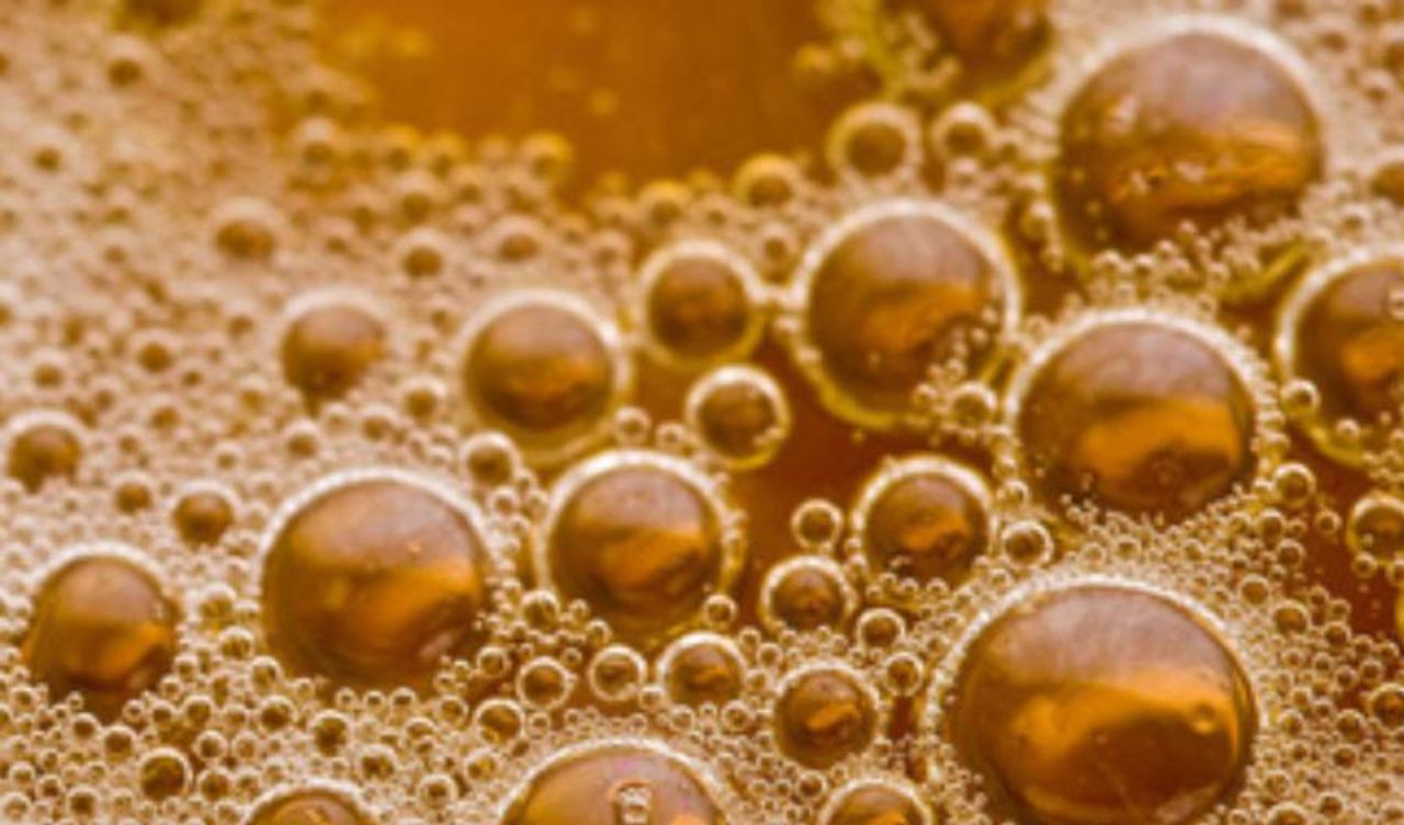 Un refresco vencido alimentando micelio: la proteína fúngica mira hacia los residuos dulces