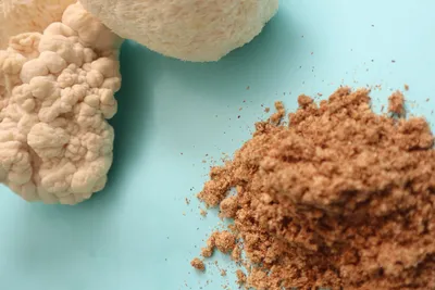 Lion's Mane (Hericium erinaceus): NGF, Neurogénesis y Salud Intestinal